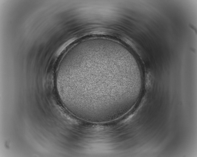 X0000099480829200805161133