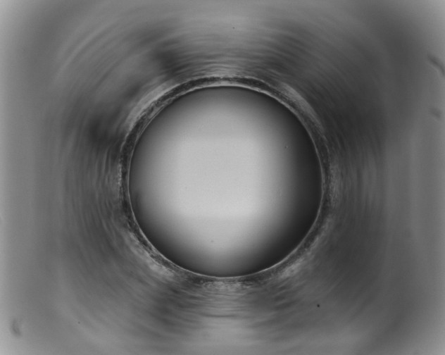 X0000099480831200805161133