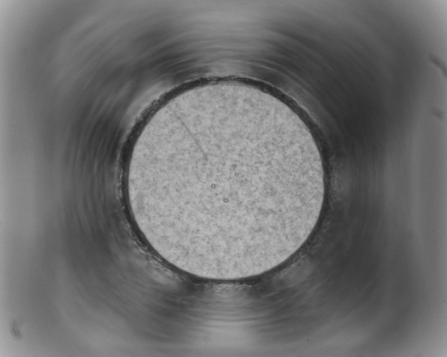 X0000099480832200805161133