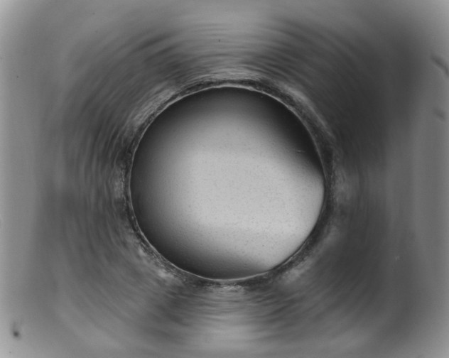 X0000099480833200805161133