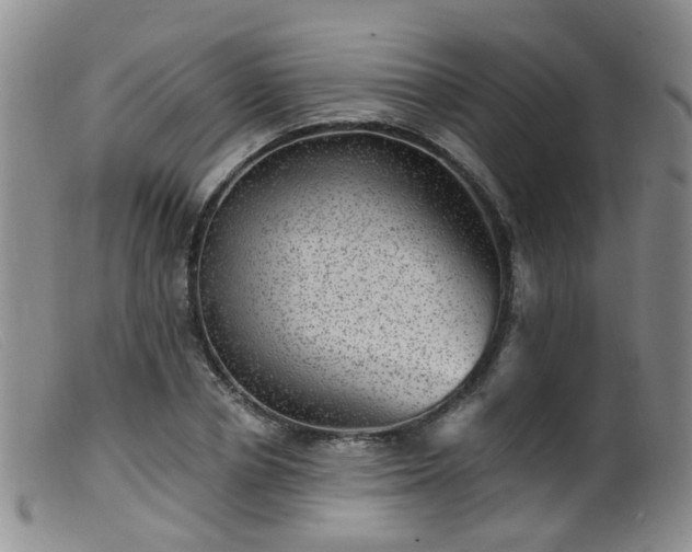 X0000099480834200805161133