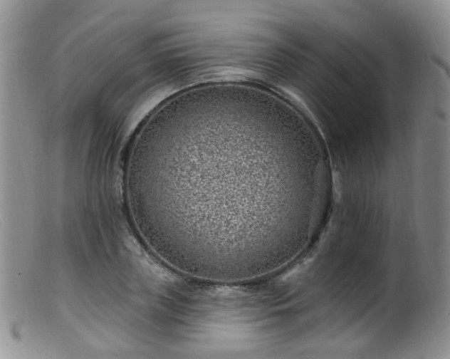 X0000099480835200805161133