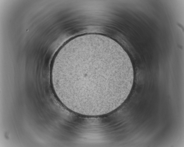 X0000099480836200805161133