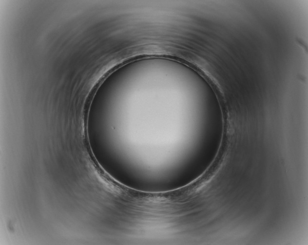 X0000099480837200805161133