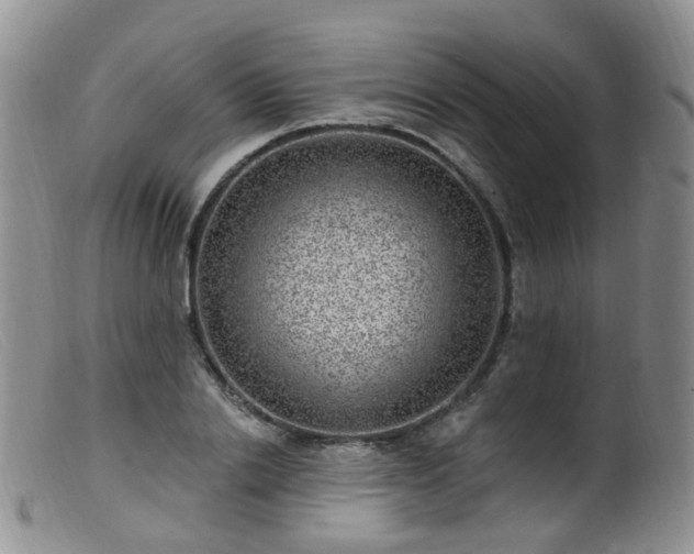 X0000099480838200805161133