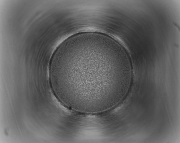 X0000099480839200805161133