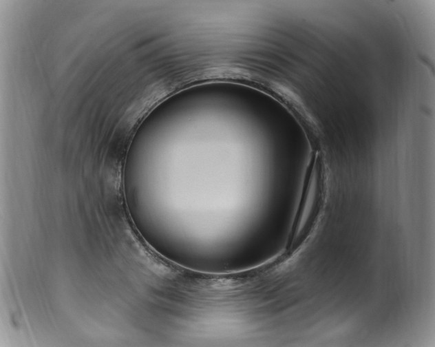 X0000099480841200805161133