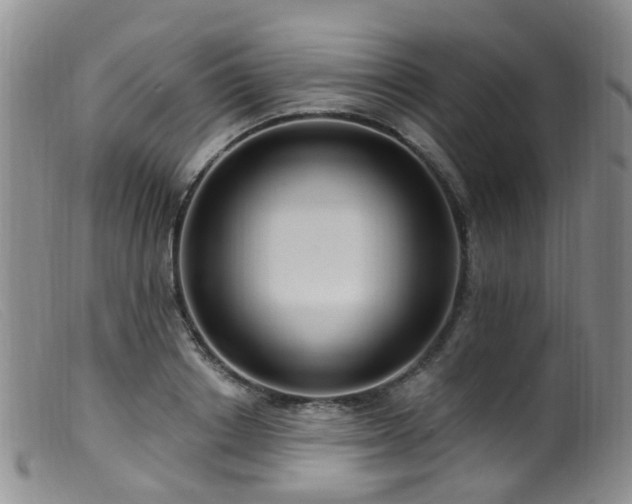 X0000099480842200805161133