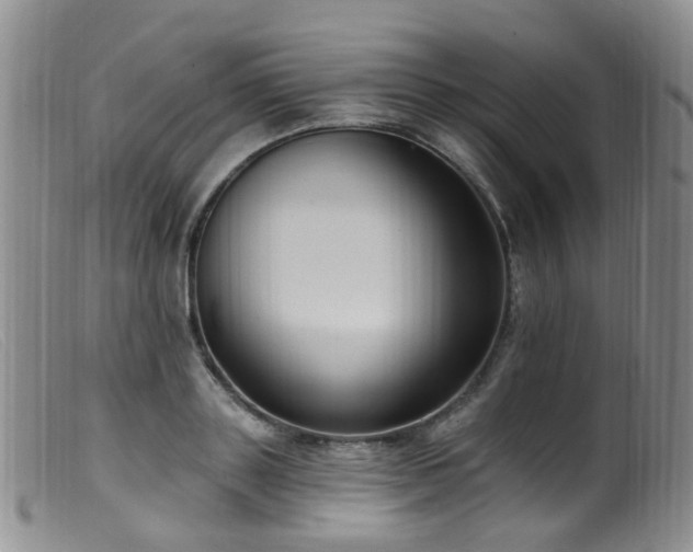 X0000099480843200805161133