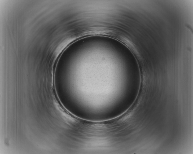 X0000099480844200805161133