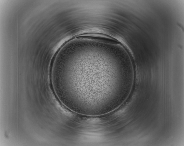 X0000099480845200805161133
