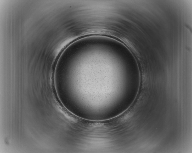 X0000099480846200805161133