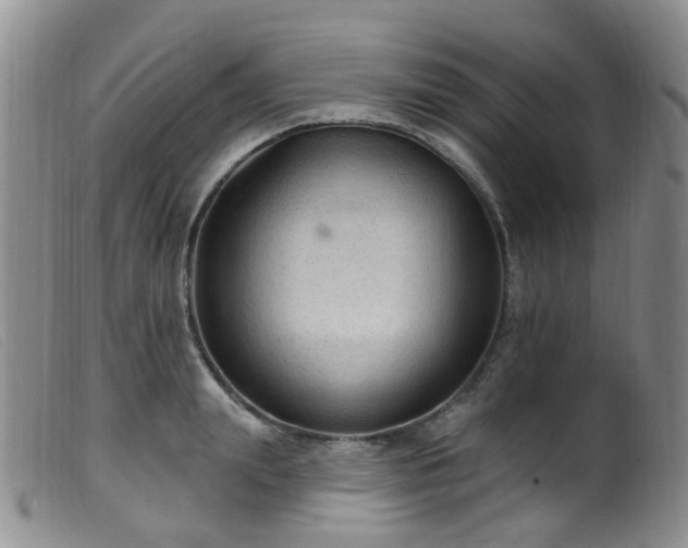 X0000099480847200805161133