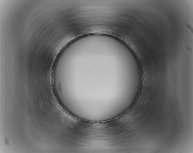X0000099480848200805161133
