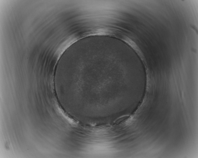 X0000099480850200805161133