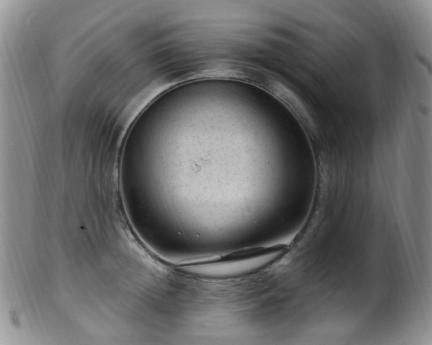 X0000099480852200805161133