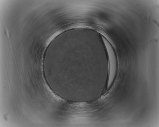 X0000099480853200805161133