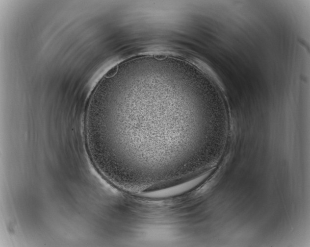 X0000099480855200805161133