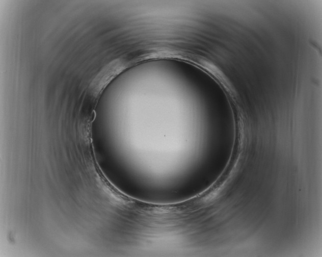 X0000099480857200805161133
