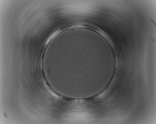 X0000099480858200805161133