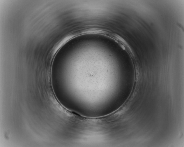 X0000099480860200805161133