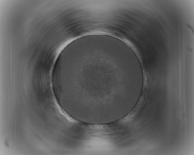 X0000099480862200805161133