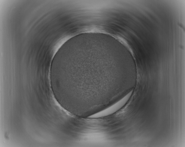 X0000099480863200805161133