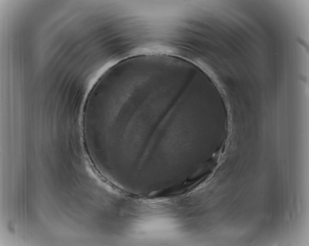 X0000099480864200805161133