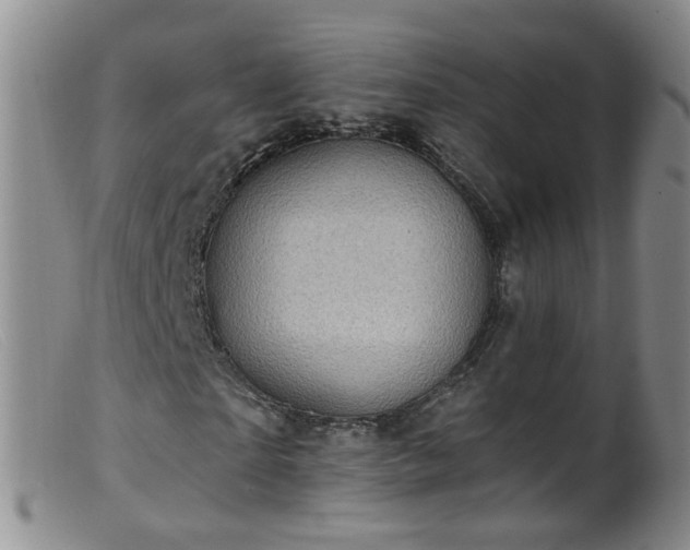 X0000099480865200805161132