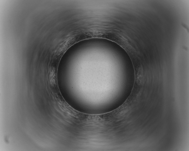 X0000099480866200805161132