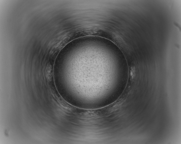 X0000099480867200805161132