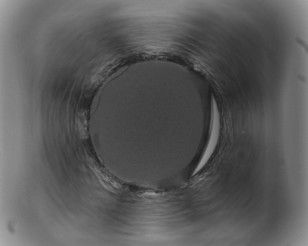 X0000099480868200805161132