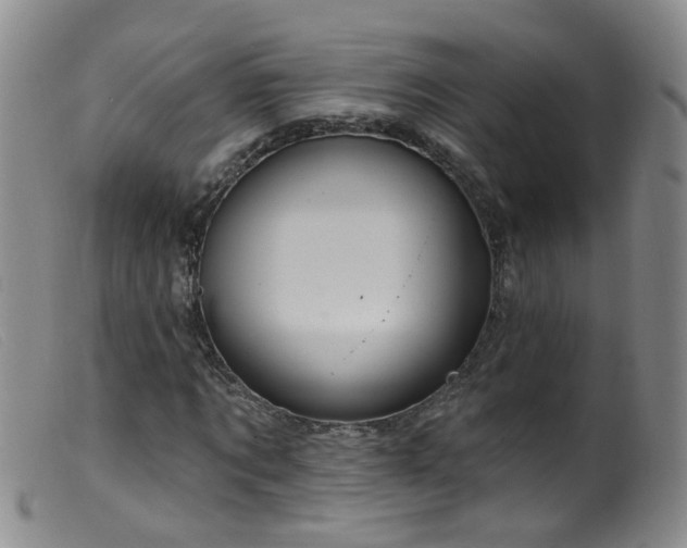 X0000099480869200805161132