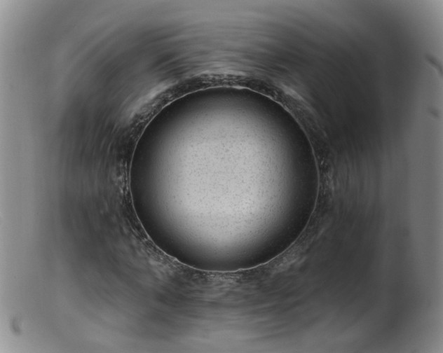 X0000099480870200805161132