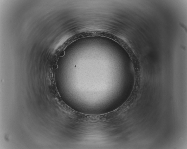 X0000099480871200805161132