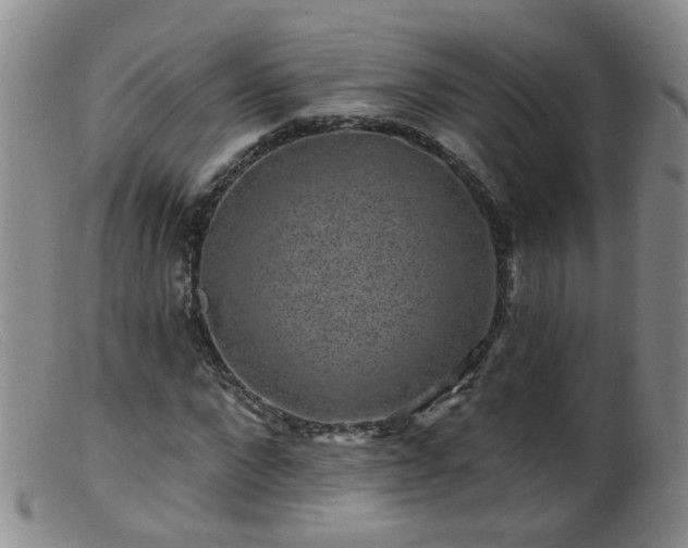 X0000099480872200805161132