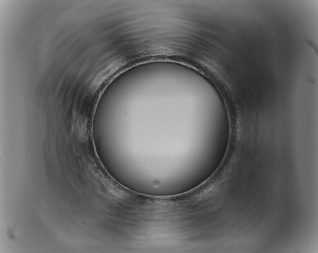 X0000099480873200805161132