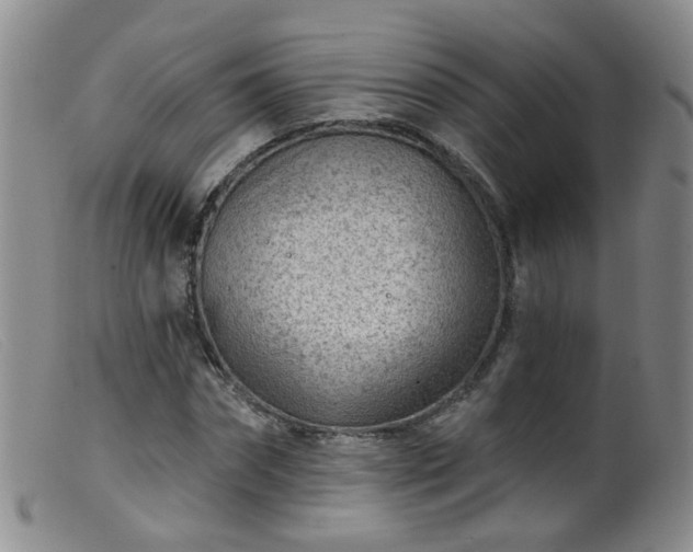 X0000099480874200805161132