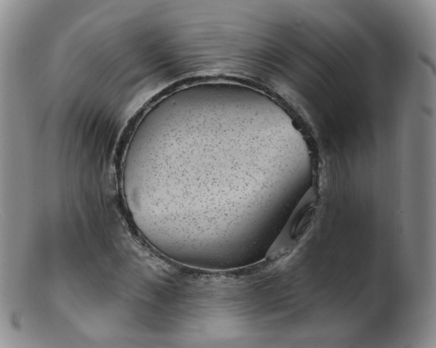 X0000099480876200805161132