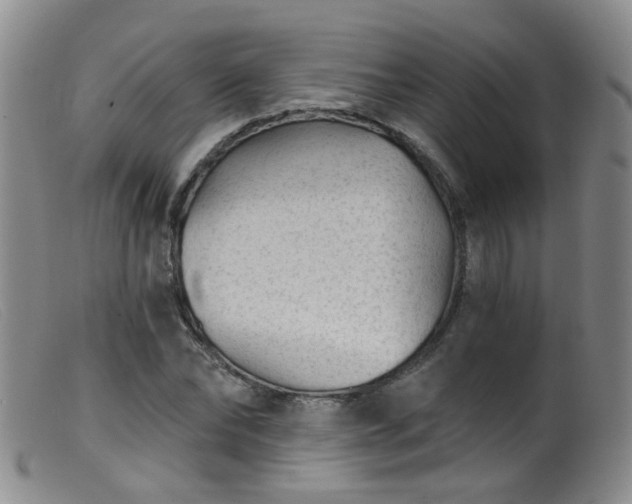 X0000099480878200805161132