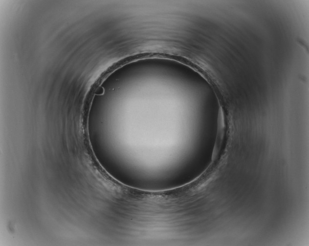 X0000099480880200805161132