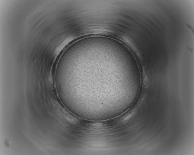 X0000099480883200805161132