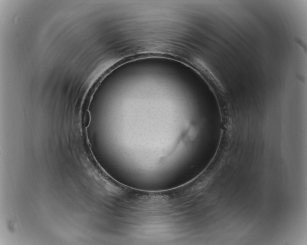 X0000099480884200805161132