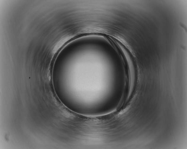 X0000099480885200805161132