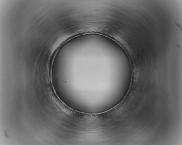 X0000099480886200805161132