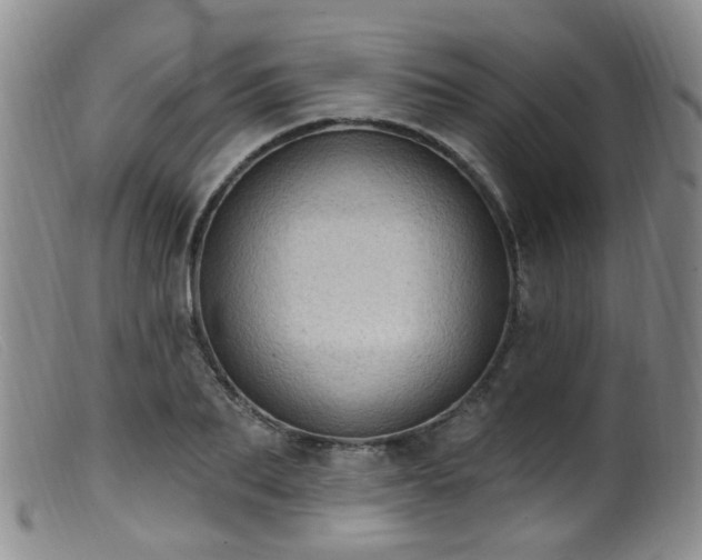 X0000099480887200805161132