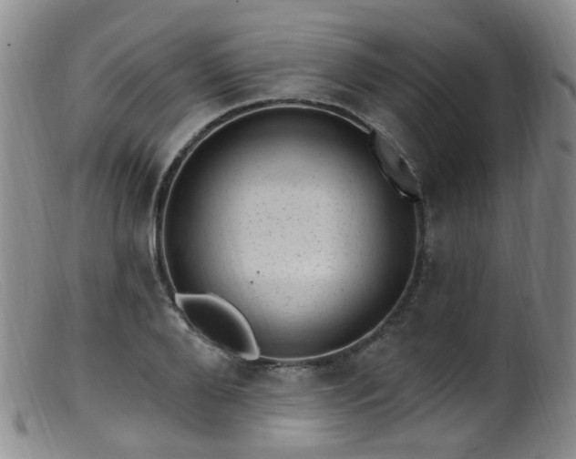 X0000099480888200805161132