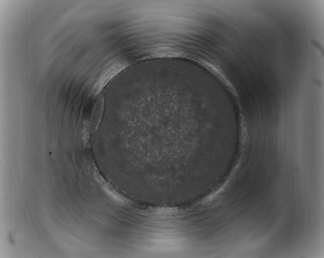 X0000099480889200805161132