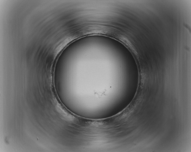 X0000099480890200805161132