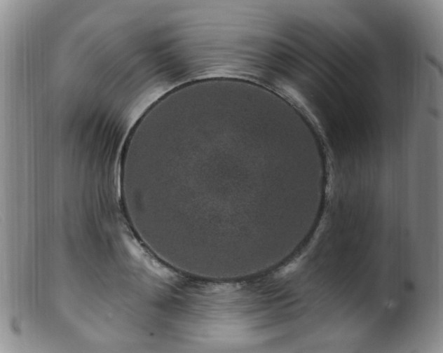 X0000099480892200805161132
